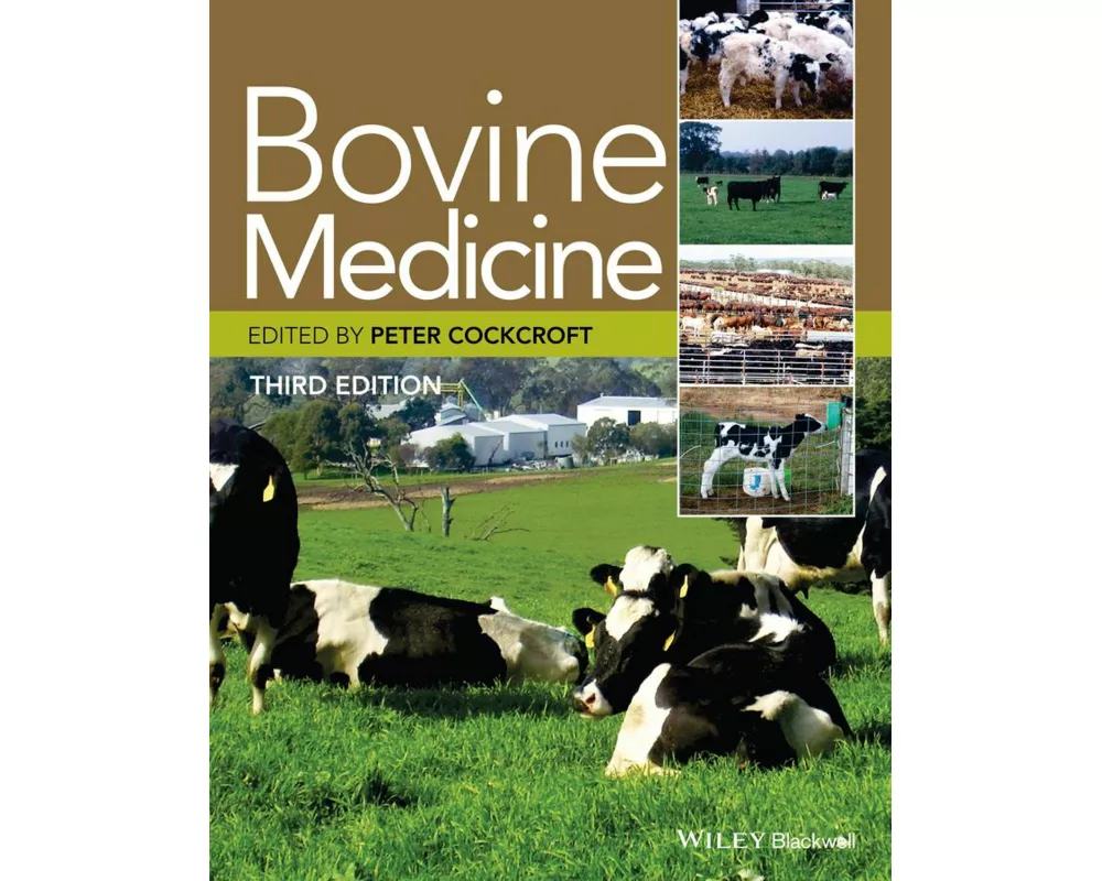 Bovine Medicine