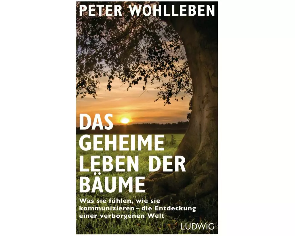 Das geheime Leben der Bäume