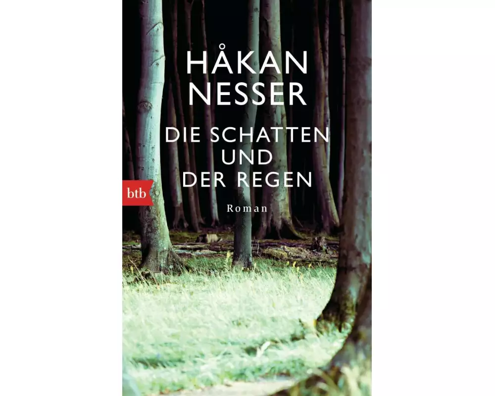 Die Schatten und der Regen