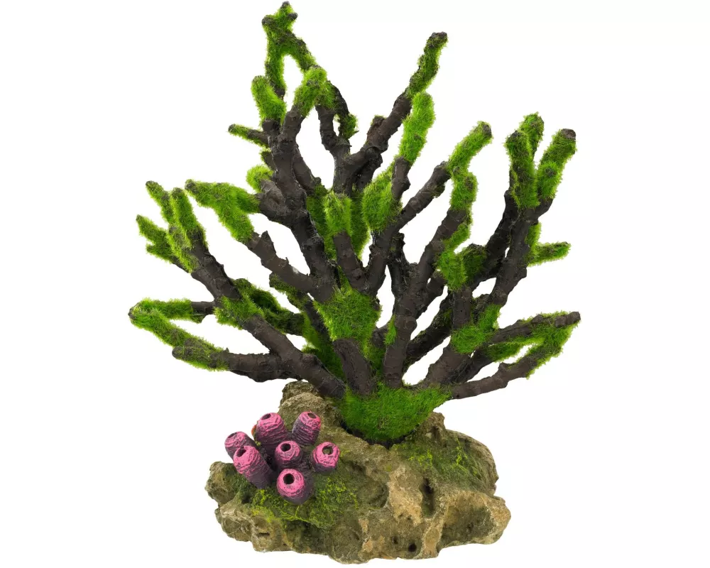 Nobby Aqua Ornaments Korelle mit Moos, 19 x 12 x 20.8 cm