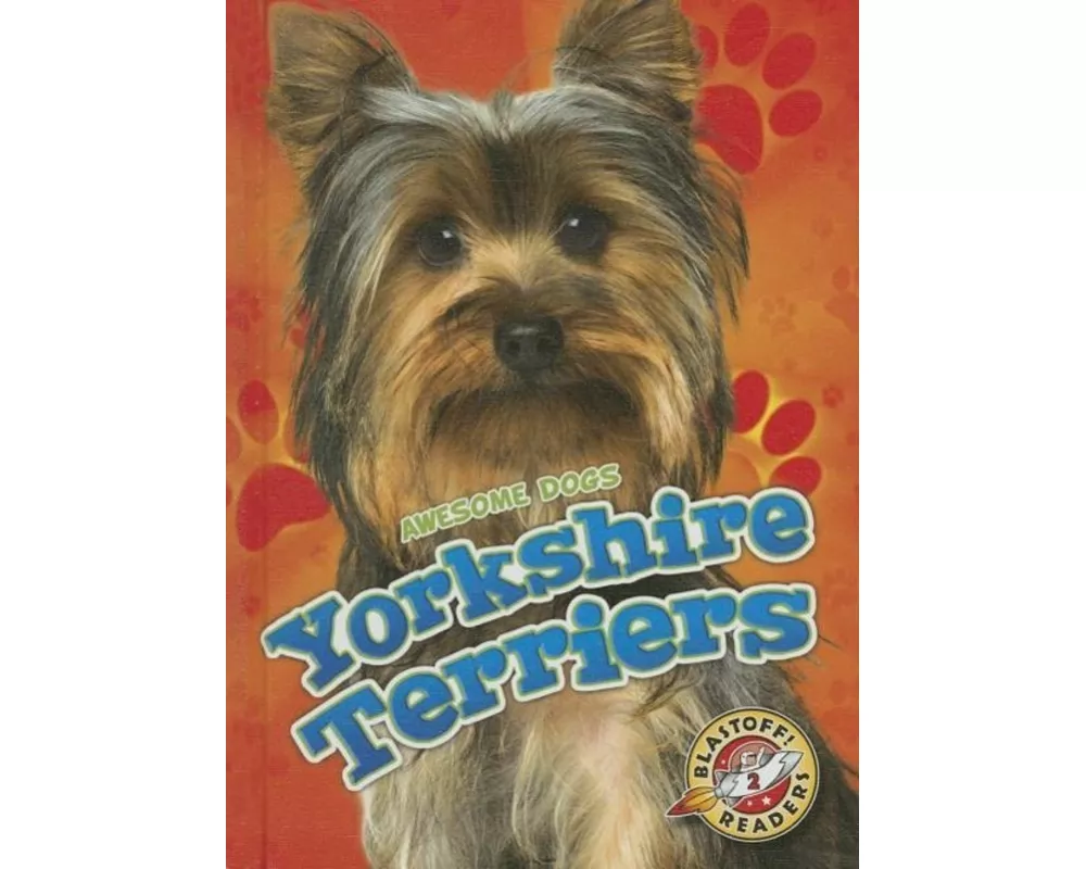 Yorkshire Terriers