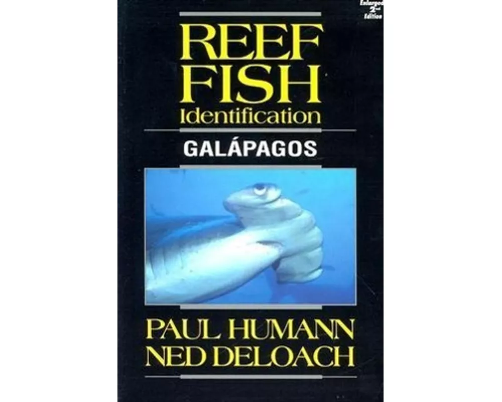 Reef Fish Identification Galapagos