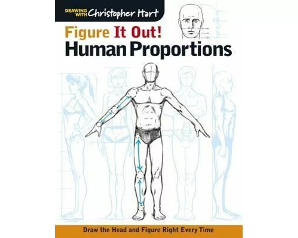 Figure It Out! Human Proportions