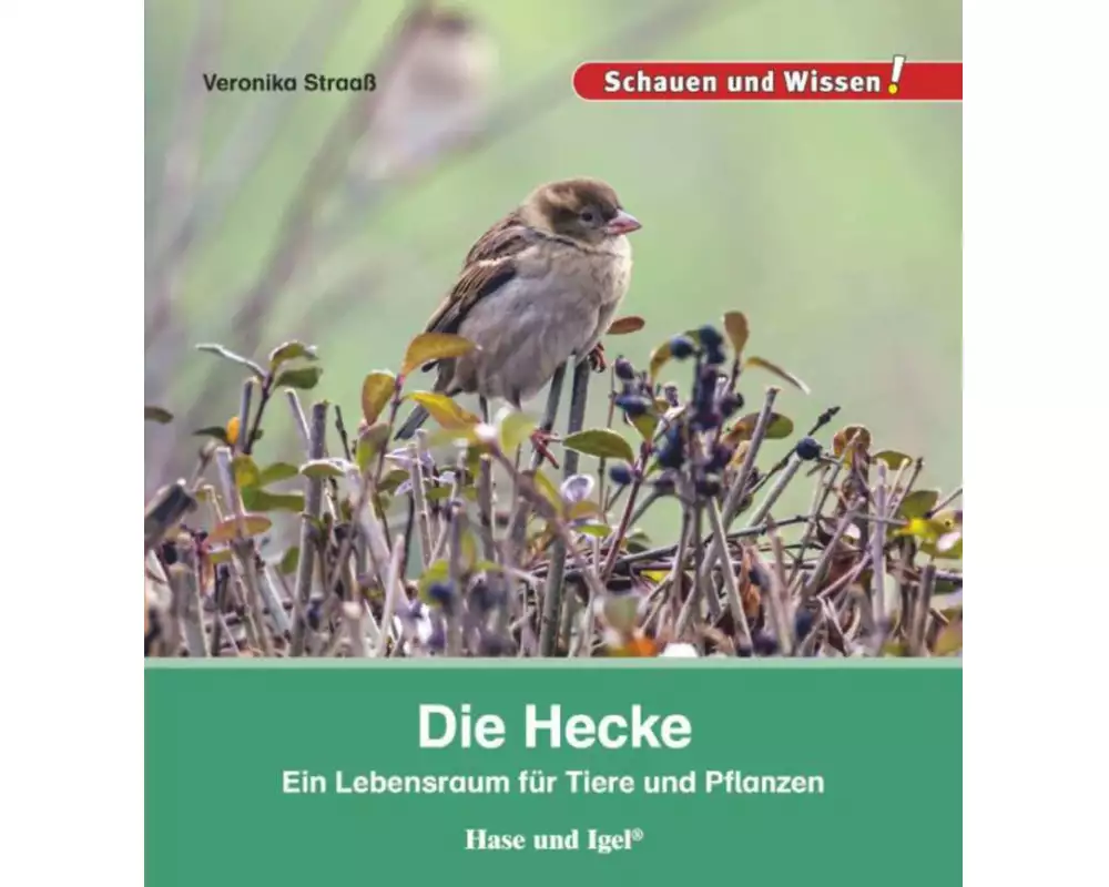 Die Hecke