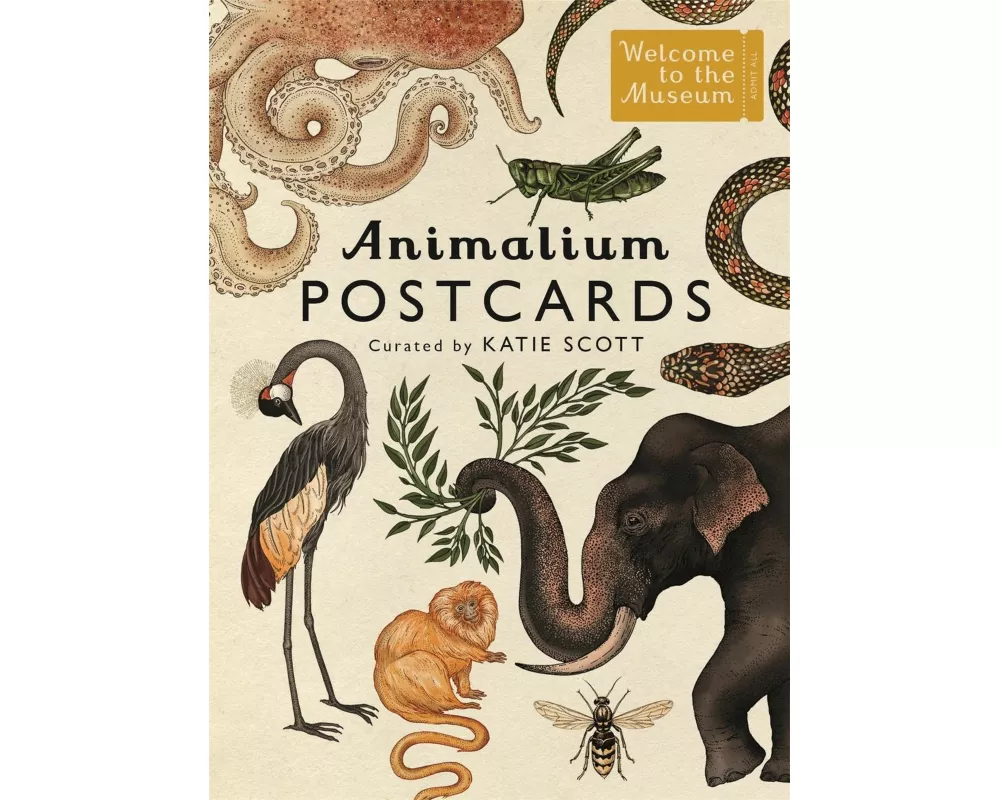 Animalium Postcards