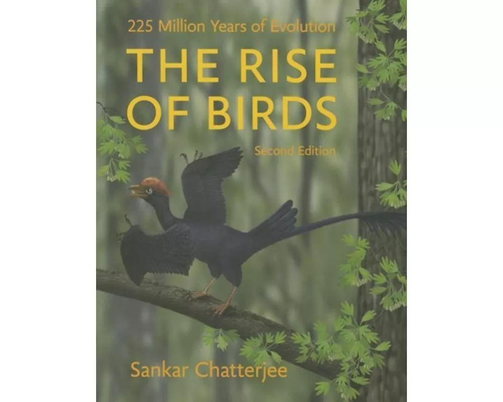 The Rise of Birds