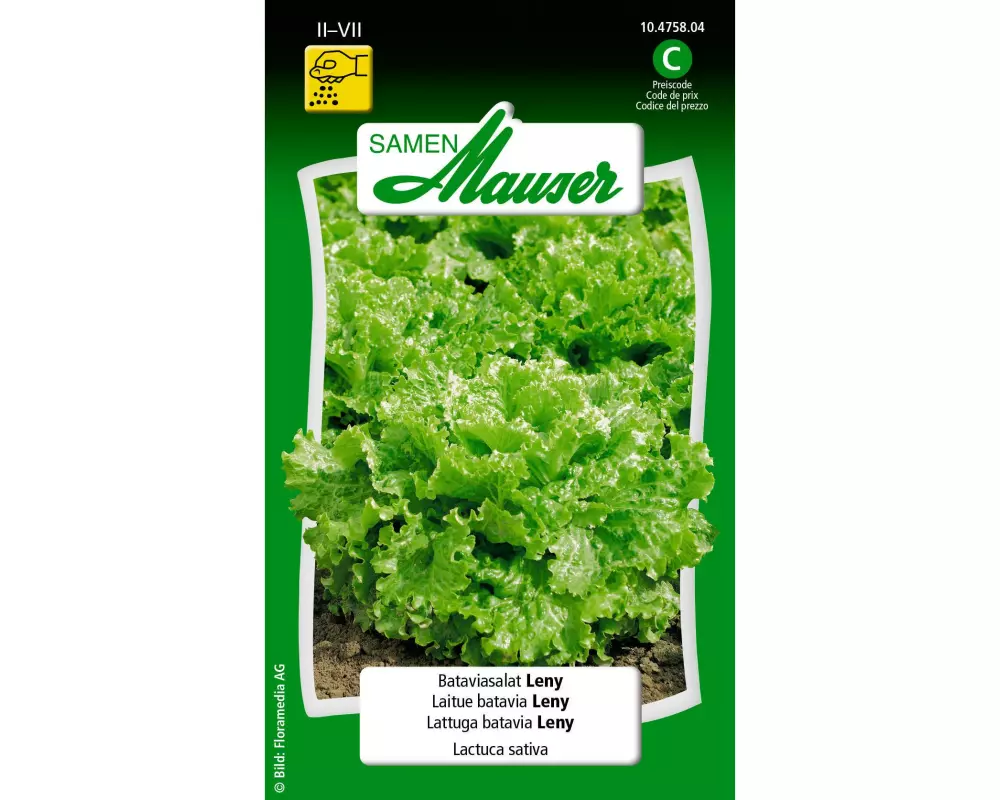 Samen Mauser Samen Bataviasalat Leny