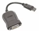 Lenovo Adapter, DisplayPort (M) to single Link DVI-D (M), 20cm, grey
