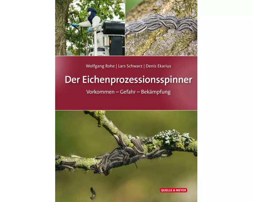 Der Eichenprozessionsspinner