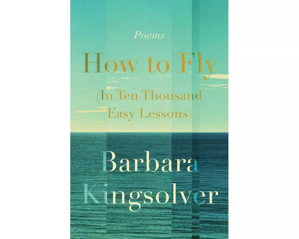 How to Fly (In Ten Thousand Easy Lessons)