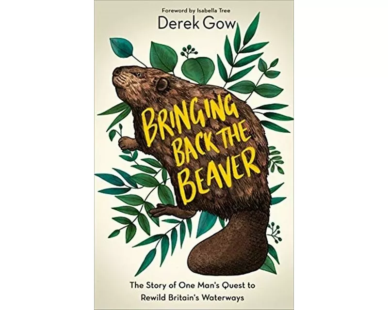 Bringing Back the Beaver