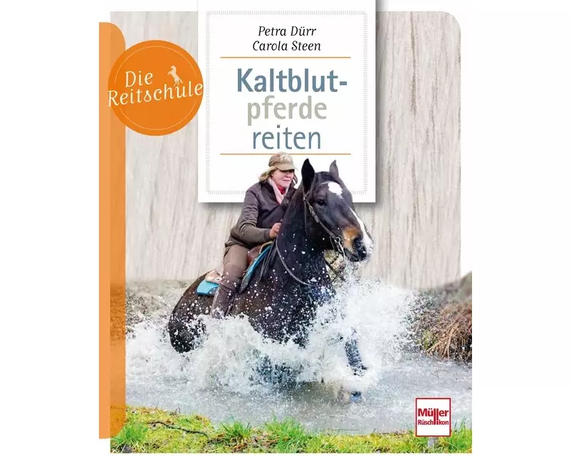 Kaltblutpferde reiten