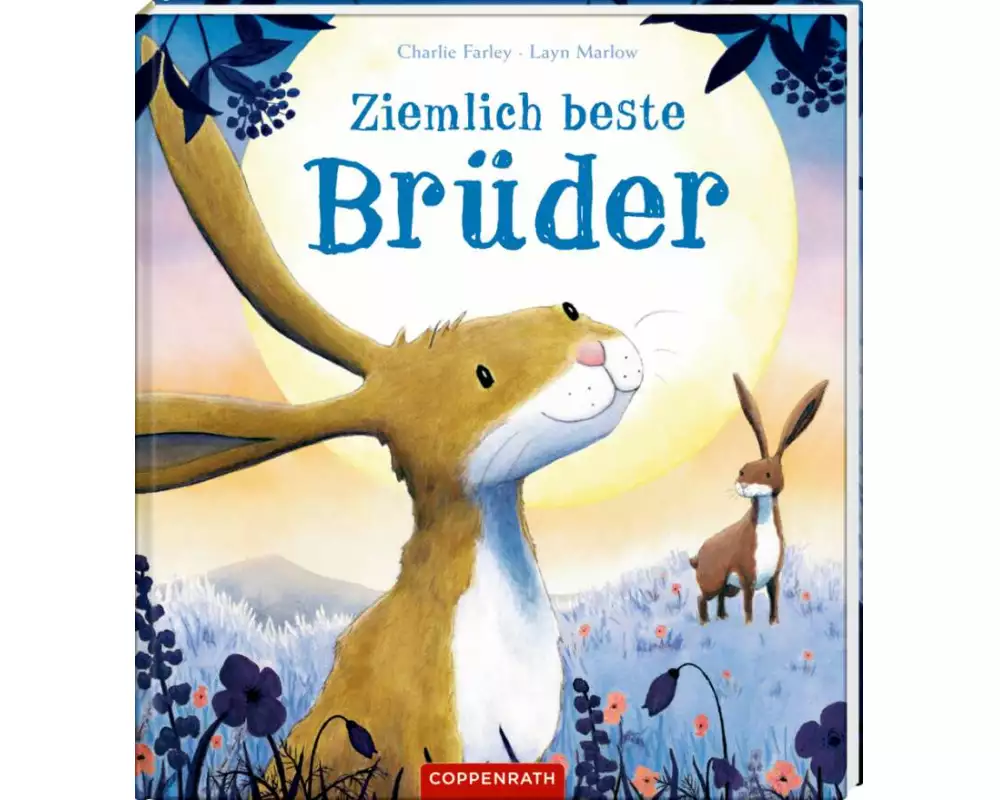 Ziemlich beste Brüder