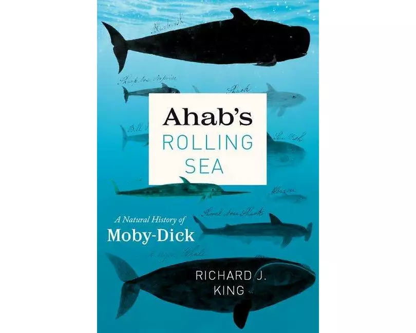 Ahab's Rolling Sea