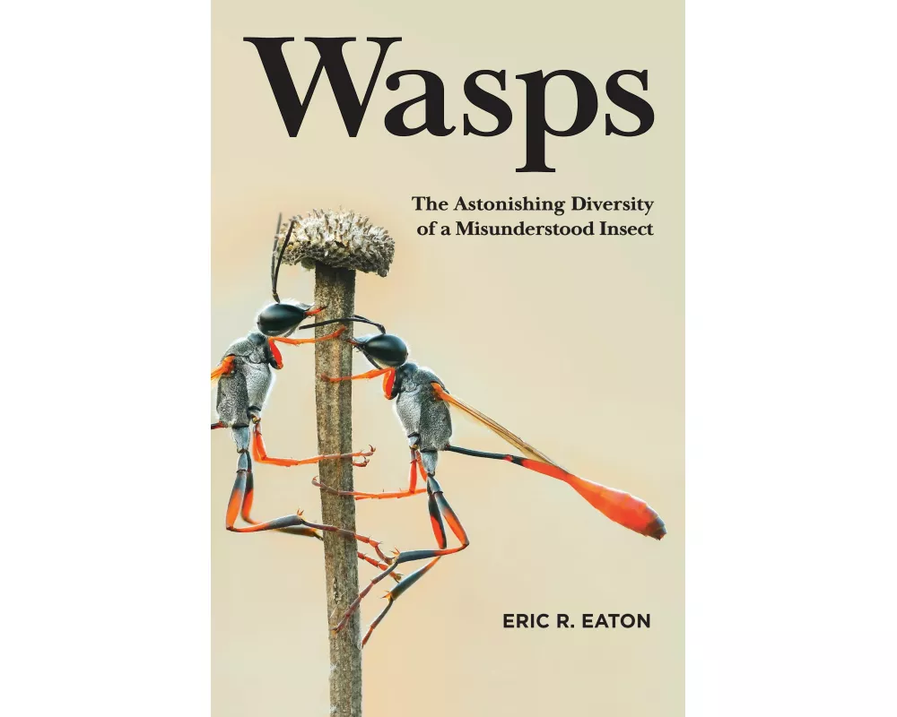 Wasps