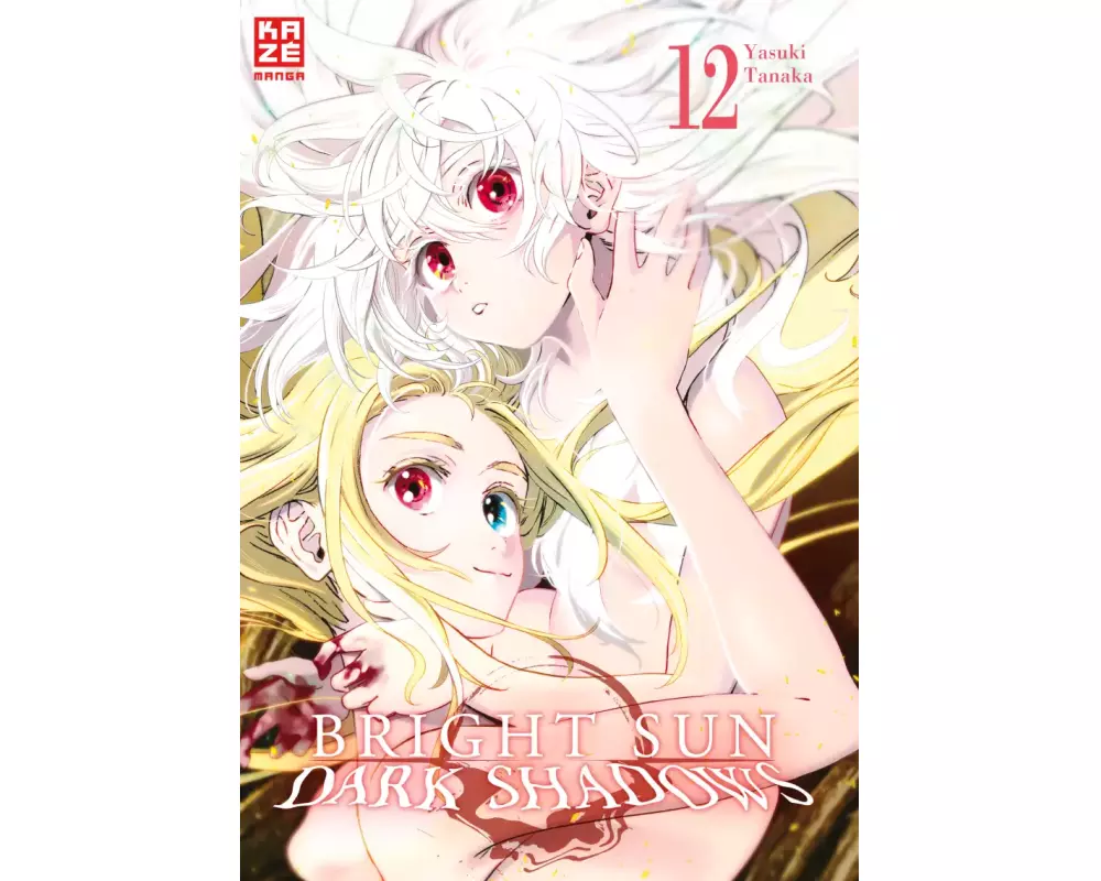 Bright Sun – Dark Shadows – Band 12