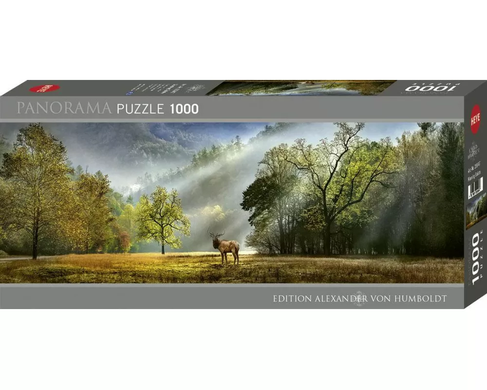 Morning Salute Puzzle