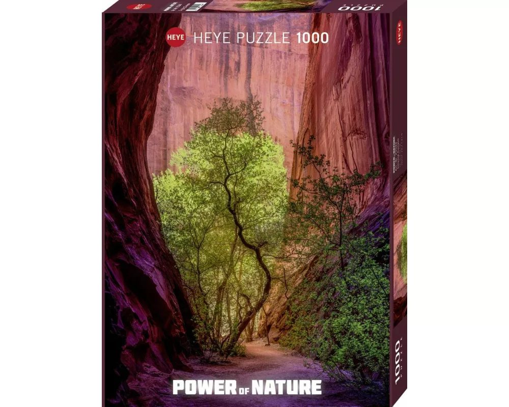 Singing Canyon Puzzle