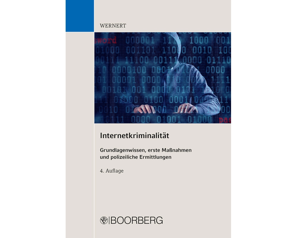 Internetkriminalität