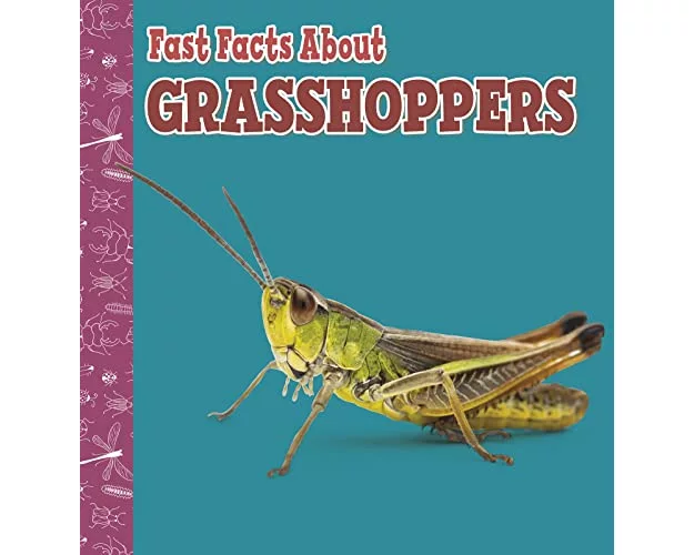 Fast Facts About Grasshoppers
