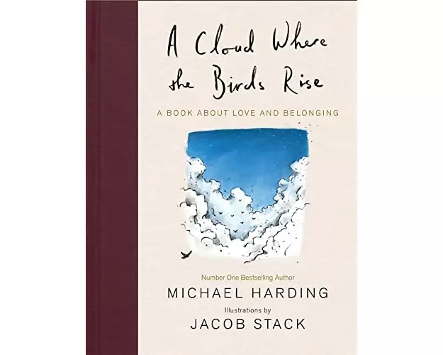A Cloud Where the Birds Rise