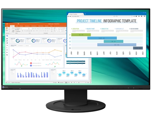 EV2460 / SWISS EDITION BLACK 23.8IN 1920 X 1080