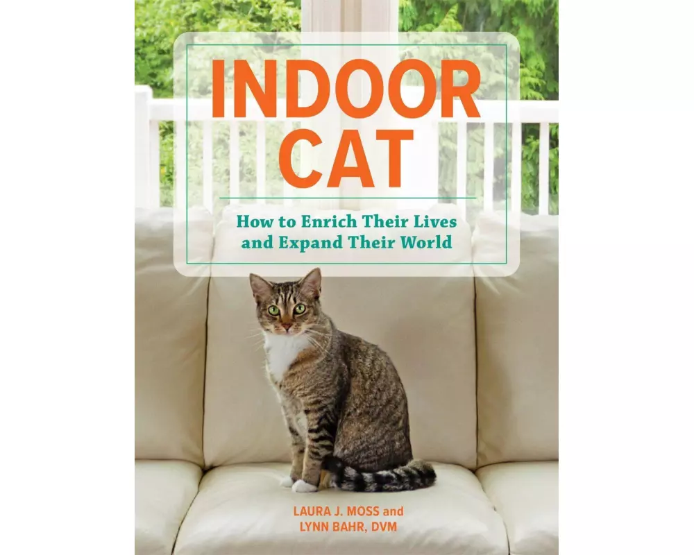 Indoor Cat
