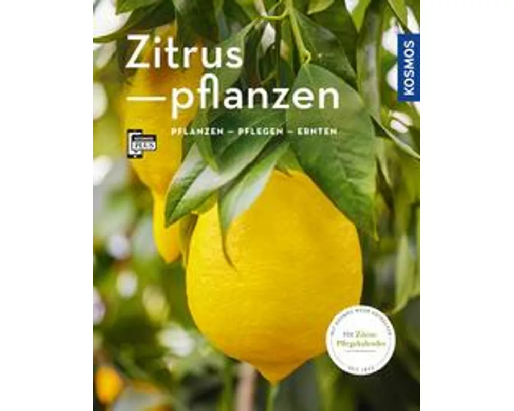 Zitruspflanzen (Mein Garten)