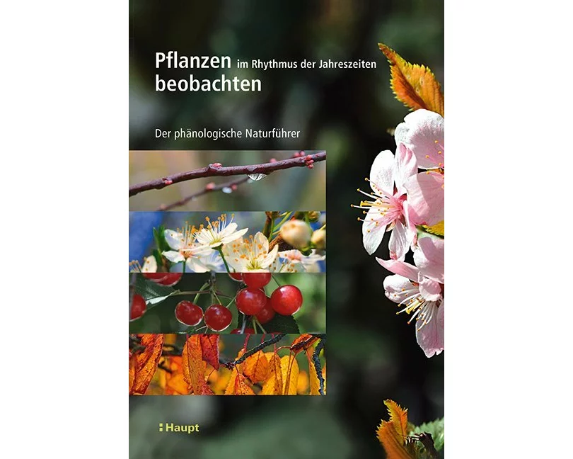 Pflanzen im Rhythmus der Jahreszeiten beobachten