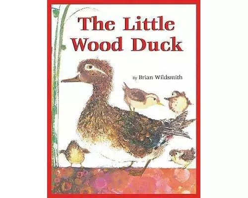 The Little Wood Duck