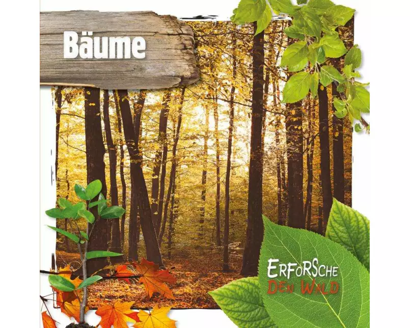 Bäume