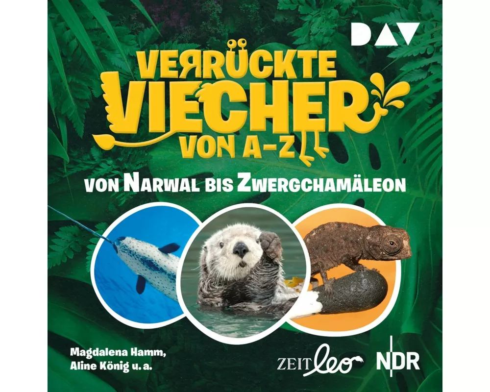 Verrückte Viecher von A bis Z – Teil 2: Von Narwal bis Zwergchamäleon