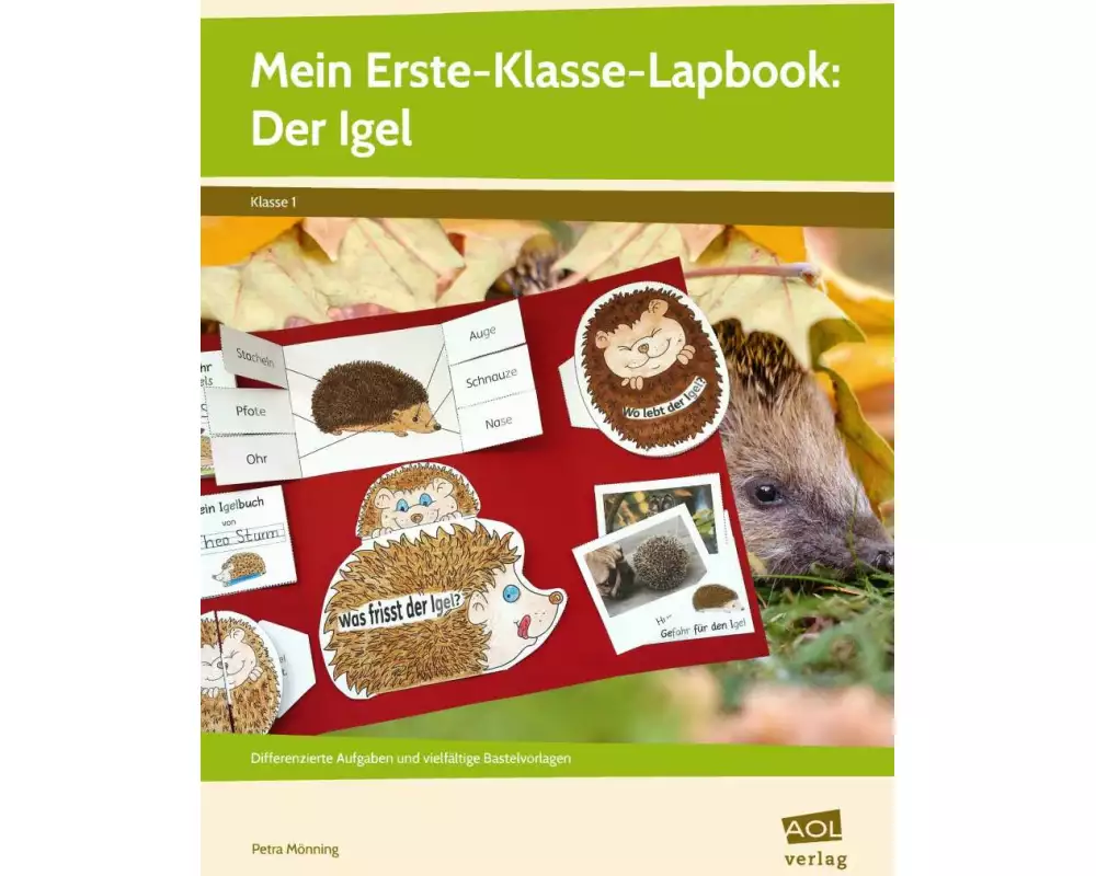 Mein Erste-Klasse-Lapbook: Der Igel