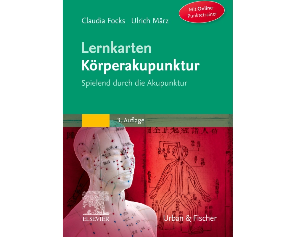 Lernkarten Körperakupunktur