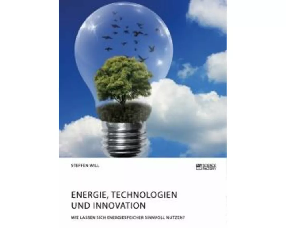 Energie, Technologien und Innovation. Wie lassen sich Energiespeicher sinnvoll nutzen?