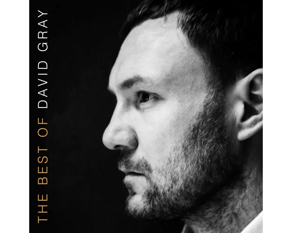 The Best Of David Gray