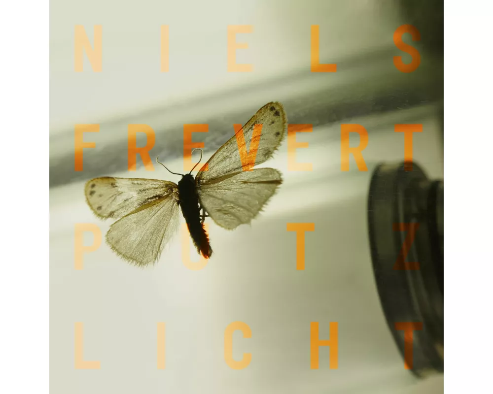 Putzlicht