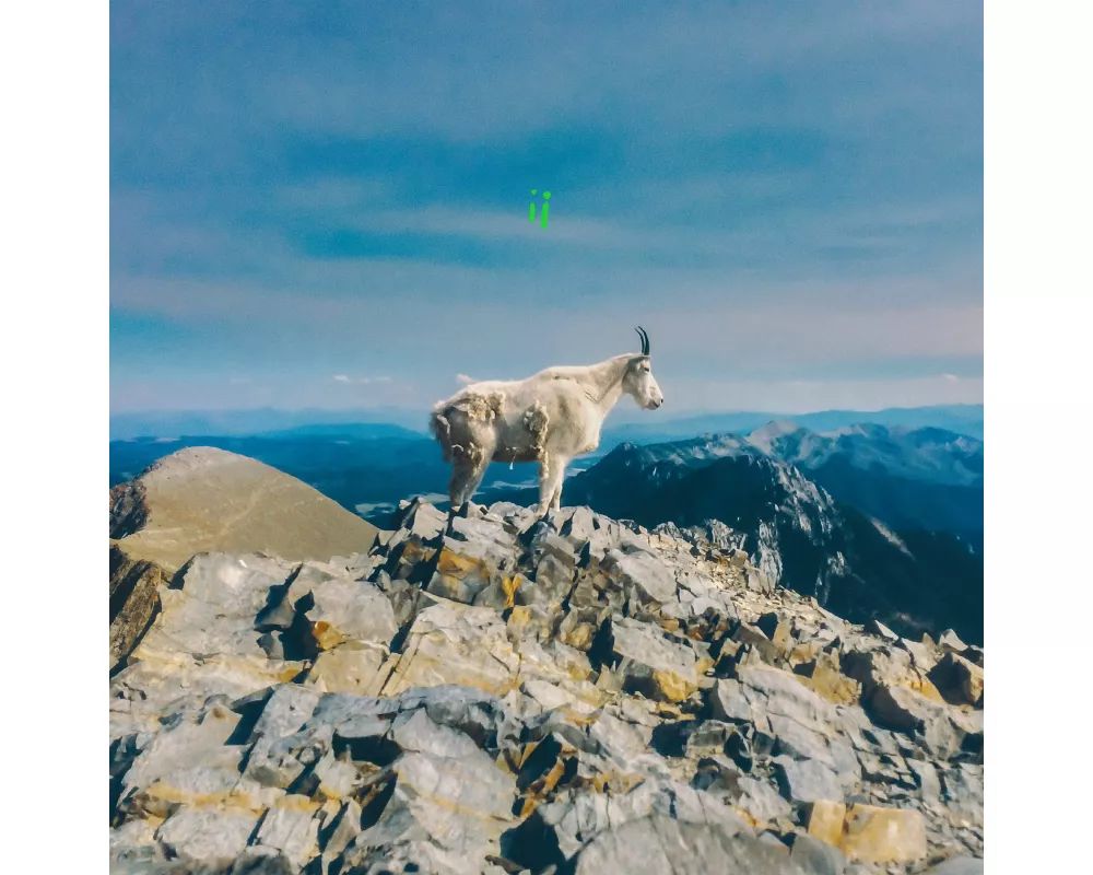 Ii