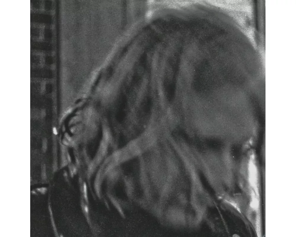 Ty Segall