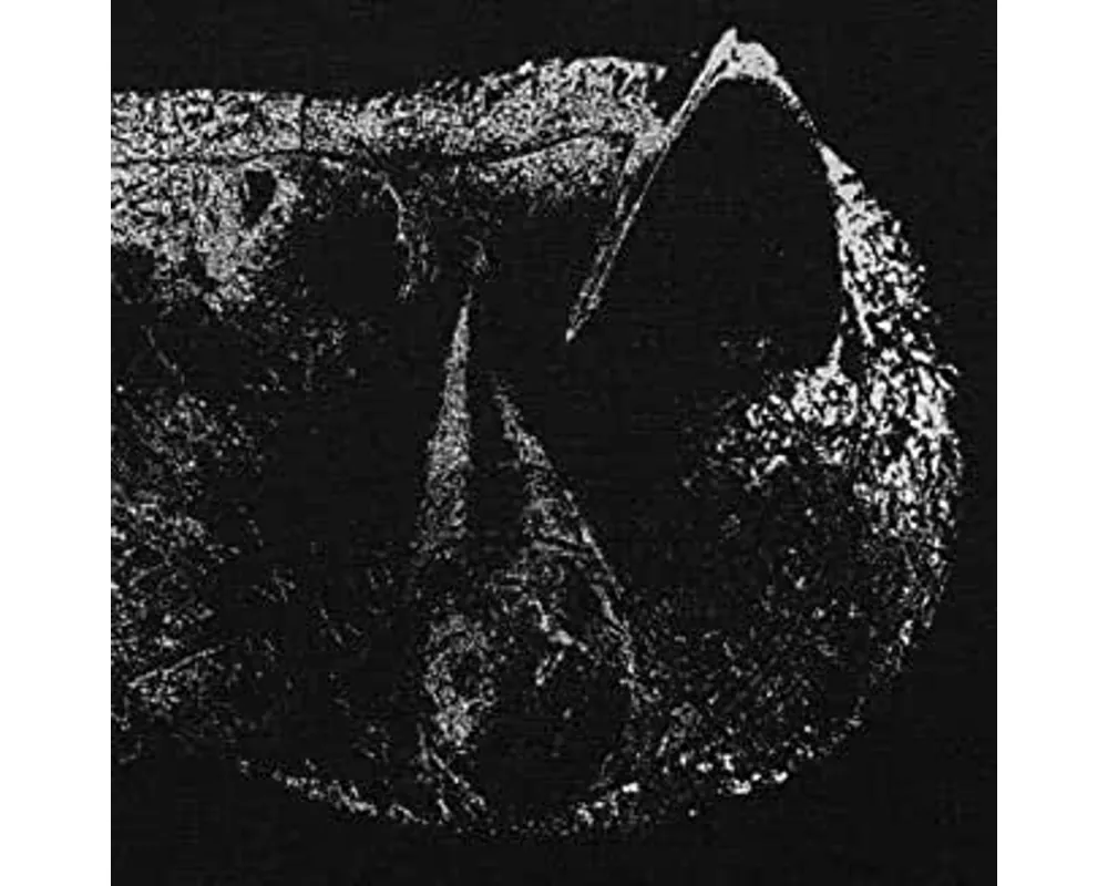 Viscera (hardcover digisleeve)