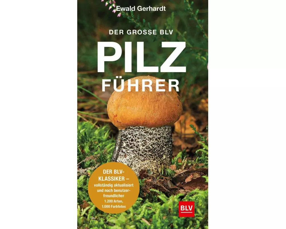 Der große BLV Pilzführer