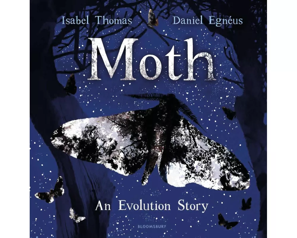Moth