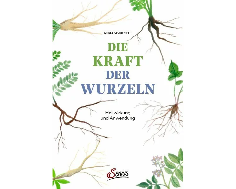 Die Kraft der Wurzeln