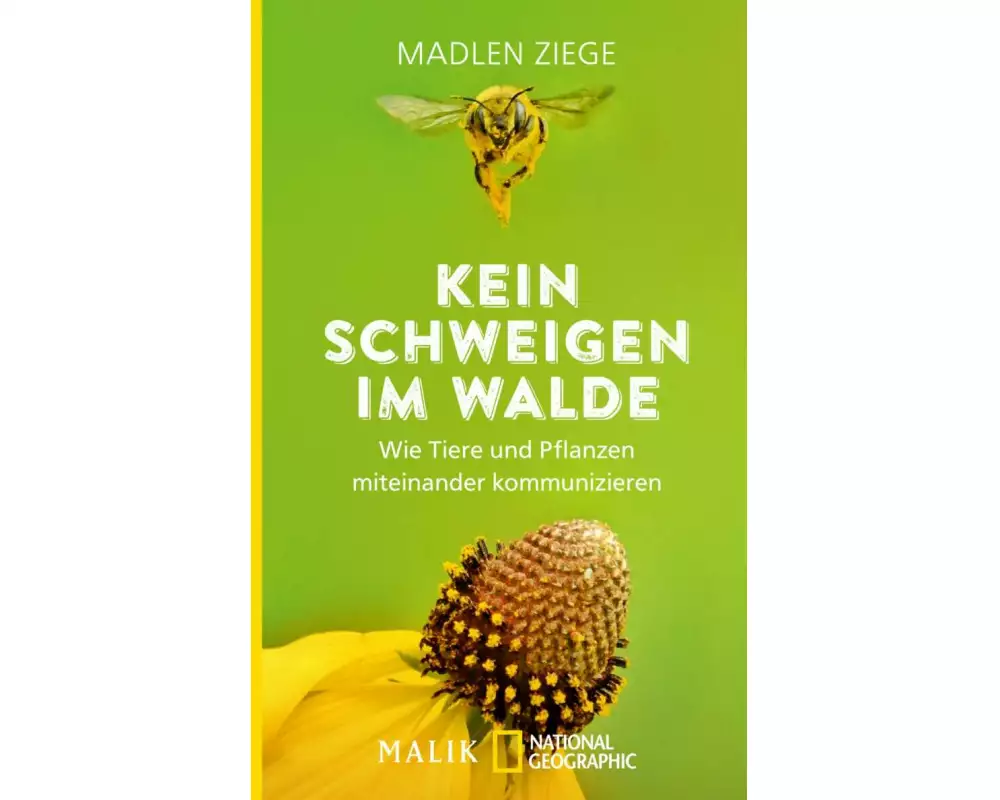 Kein Schweigen im Walde