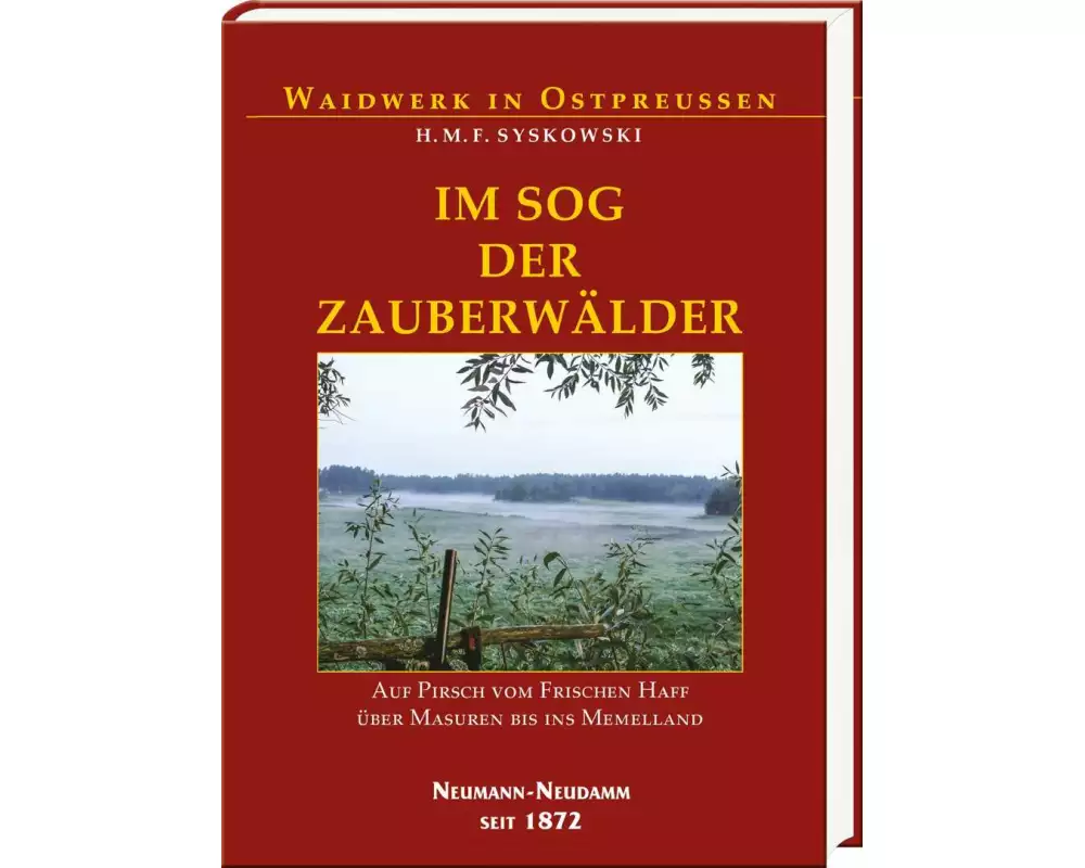 Im Sog der Zauberwälder