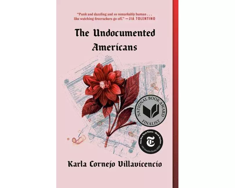 The Undocumented Americans