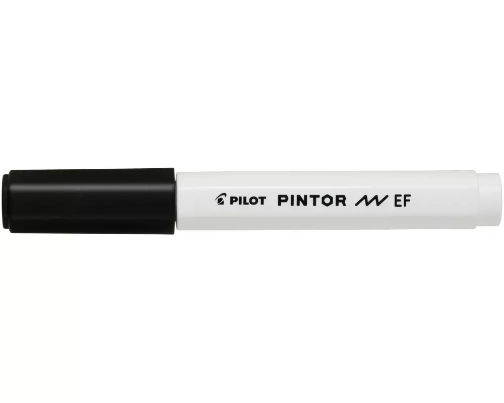 Pilot Permanent-Marker Pintor Extra Fine Schwarz