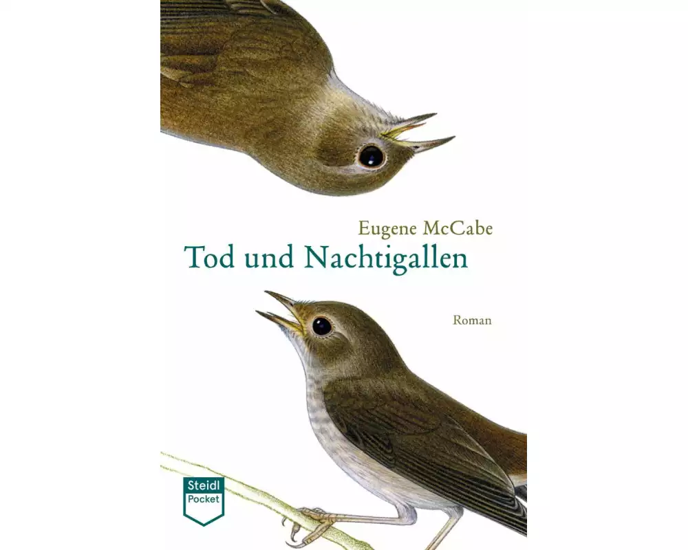 Tod und Nachtigallen (Steidl Pocket)