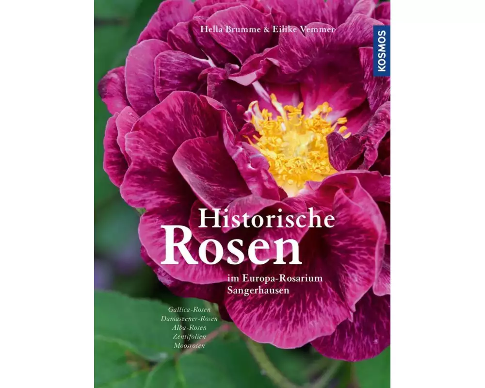 Historische Rosen Band 1