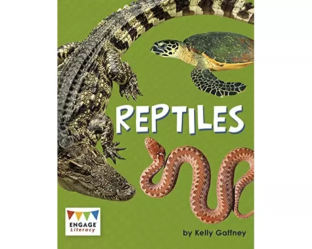 Reptiles